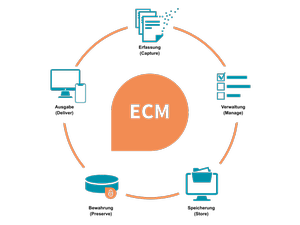 TA_Grafik_ECM_Kategorien im Ueberblick TA_Grafik_ECM_Kategorien im Ueberblick